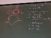 Abdomen - DSCN5816.jpg (416 ko)
