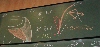 Myologie du Membre Supérieur - DSCN7661.jpg (297 ko)