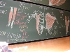 Myologie du Membre Supérieur - DSCN7670.jpg (433 ko)