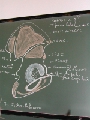 Ostéologie du Membre Inférieur - DSCN7547.jpg (446 ko)
